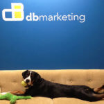db marketing advertising agency